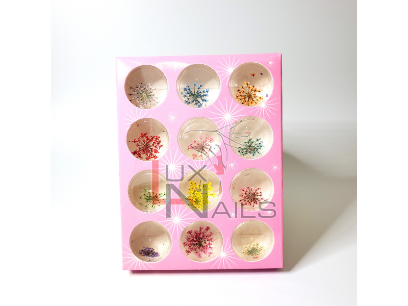 Сухоцветы для дизайна ногтей, набор 12 цветов